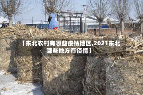 【东北农村有哪些疫情地区,2021东北哪些地方有疫情】-第3张图片
