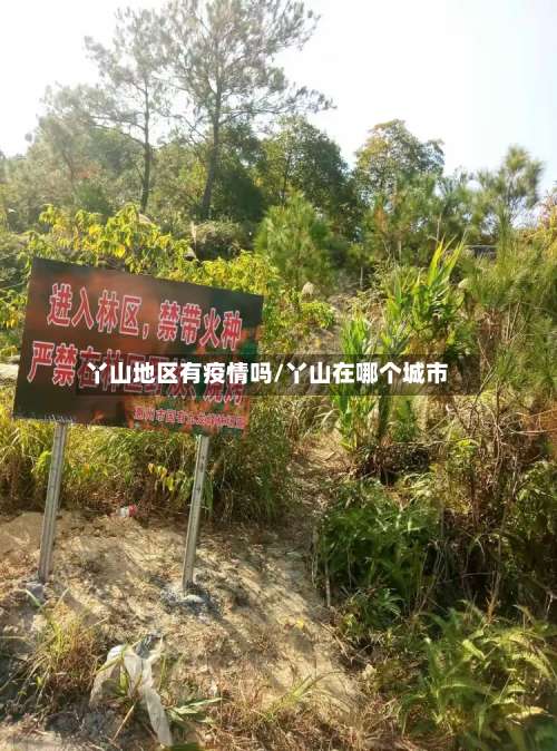 丫山地区有疫情吗/丫山在哪个城市-第3张图片