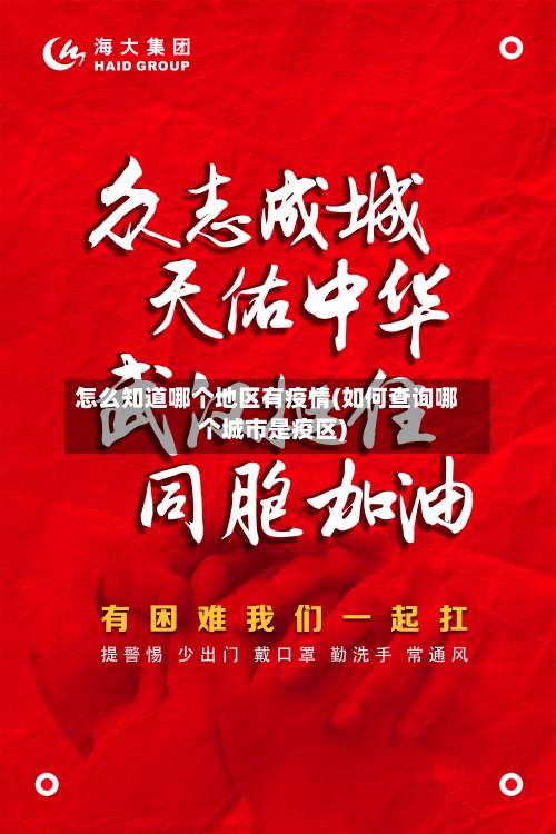 怎么知道哪个地区有疫情(如何查询哪个城市是疫区)-第2张图片