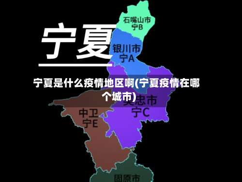 宁夏是什么疫情地区啊(宁夏疫情在哪个城市)-第2张图片