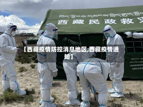 【西藏疫情防控消息地区,西藏疫情通知】-第3张图片