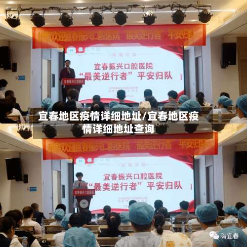 宜春地区疫情详细地址/宜春地区疫情详细地址查询-第2张图片