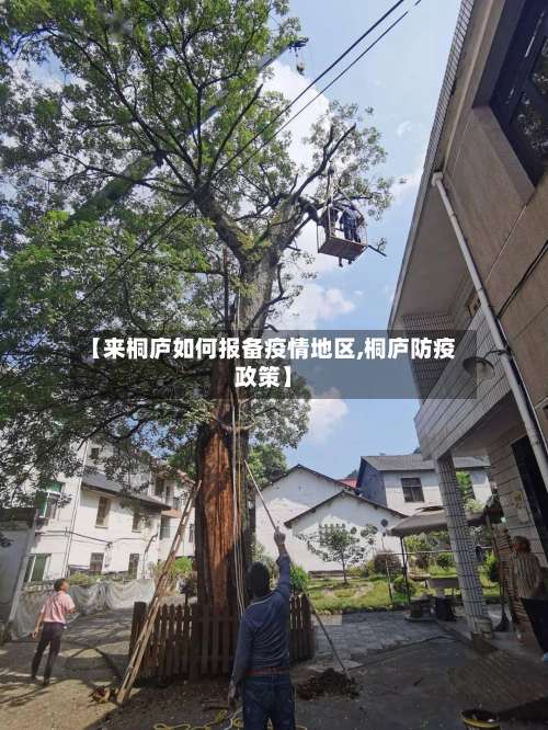 【来桐庐如何报备疫情地区,桐庐防疫政策】-第3张图片