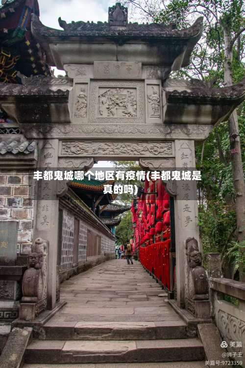 丰都鬼城哪个地区有疫情(丰都鬼城是真的吗)-第1张图片