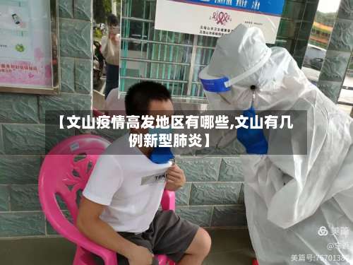 【文山疫情高发地区有哪些,文山有几例新型肺炎】-第1张图片