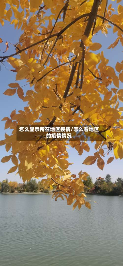 怎么显示所在地区疫情/怎么看地区的疫情情况-第2张图片